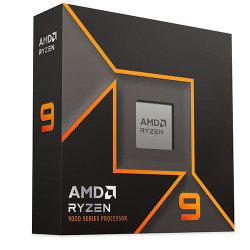 AMD Ryzen 9 9900X 4.4GHz Processor